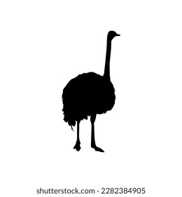 Ostrich Isolated Silhouette for Logo, Pictogram, Art Illustration or Graphic Design Element. Vector Illustration