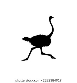 Ostrich Isolated Silhouette for Logo, Pictogram, Art Illustration or Graphic Design Element. Vector Illustration