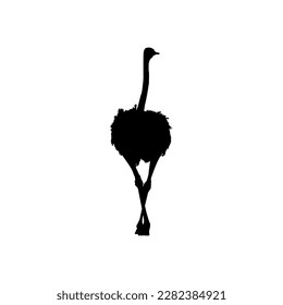 Ostrich Isolated Silhouette for Logo, Pictogram, Art Illustration or Graphic Design Element. Vector Illustration