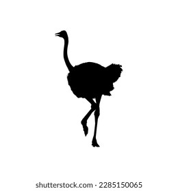 Ostrich Isolated Silhouette for Logo, Pictogram, Art Illustration or Graphic Design Element. Vector Illustration