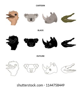 Ostrich, koala, rhinoceros, crocodile, realistic animals set collection icons in cartoon,black,outline style vector symbol stock illustration web.