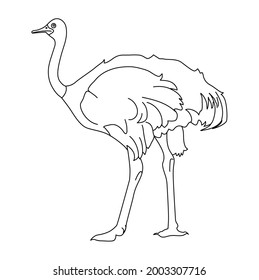 Ostrich Line Drawing Clip Art Stock Vector (Royalty Free) 2003307716 ...