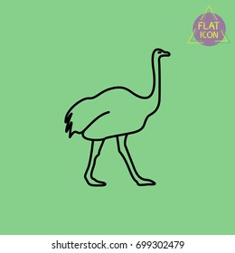 ostrich line icon