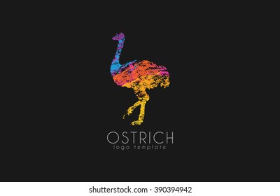 Ostrich logo design. Creative logo. Bird logo. Colorful logo. Animal logo.