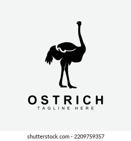 Ostrich Logo Design, Desert Animal Illustration, Living In The Forest, Vector Camel Brand Product
