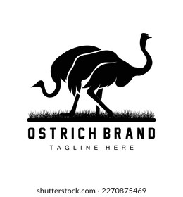 Ostrich Logo Design, Desert Animal Illustration, Living In The Forest, Vector Camel Brand Product