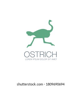 ostrich logo design, vector illustration