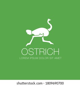 ostrich logo design, vector illustration