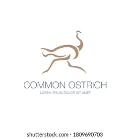 Ostrich Logo Design, Vector Illustration