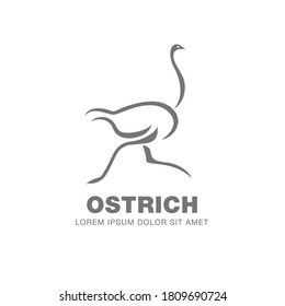 Ostrich Logo Design, Vector Illustration