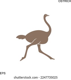 Ostrich logo. Isolated ostrich on white background