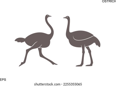 Ostrich logo. Isolated ostrich on white background