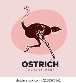 The Ostrich logo runs for various purposes