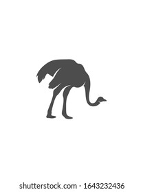 Ostrich logo vector, Animal graphic, Ostrich design Template illustration