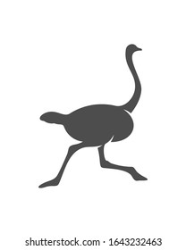 Ostrich logo vector, Animal graphic, Ostrich design Template illustration