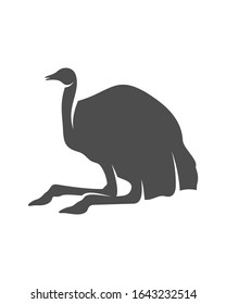 Ostrich logo vector, Animal graphic, Ostrich design Template illustration