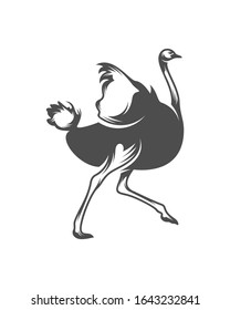Ostrich logo vector, Animal graphic, Ostrich design Template illustration
