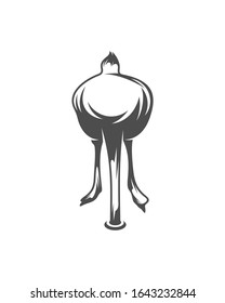 Ostrich logo vector, Animal graphic, Ostrich design Template illustration
