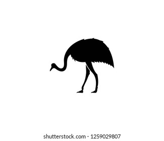 ostrich logo vector illustration template