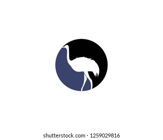 ostrich logo vector illustration template