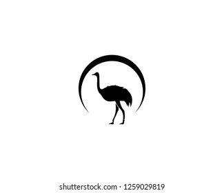 ostrich logo vector illustration template