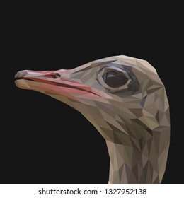 Ostrich low poly design. Triangle vector illustration.