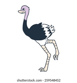 Ostrich in motion illustration