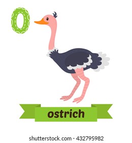 Ostrich. O letter. Cute children animal alphabet in vector. Funny cartoon animals. Vector illustration