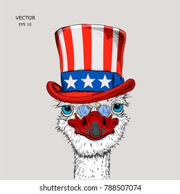 A  ostrich in old American hat with a flag. National Symbols of the USA. Vector illustration 