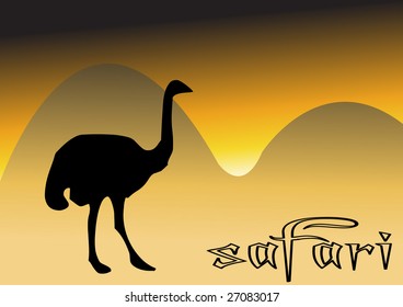 ostrich on field