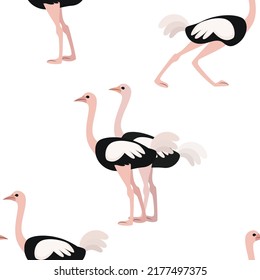 Ostrich on a white background. Seamless vector pattern.