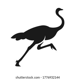 Ostrich On A White Background In Vector EPS8