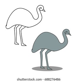 Ostrich on white background, vector