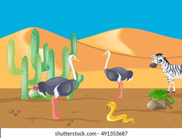 Ostrich and other animals in desert illustration