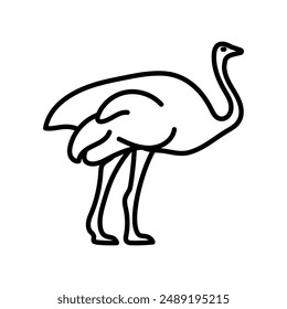 Ostrich Outline Icon, Vector illustration