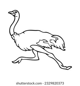 ostrich outline illustration,
isolated on white background.Top view