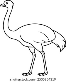 Ostrich outline or line art silhouette vector illustration with smooth lines white background.