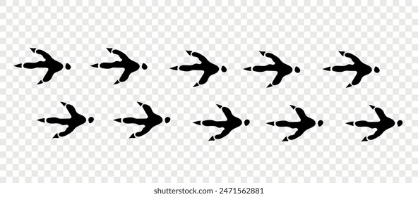 Ostrich paws. Footpath trail of animals. Paw foot trail print of ostrich on white background. Vector animal steps in black color.