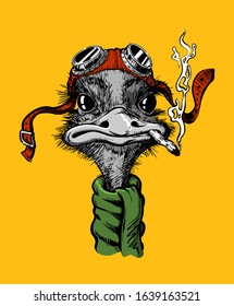 Ostrich pilot, isolated, in bright color hand-drawn, with a feather on a yellow background. With big eyes in the pilot's glasses, with a green scarf in retro style.