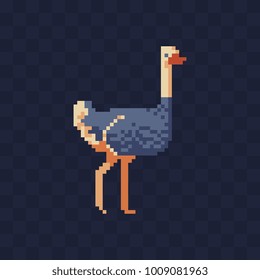 Ostrich. Pixel art character. Australian animal. Stickers design. Isolated vector illustration. 