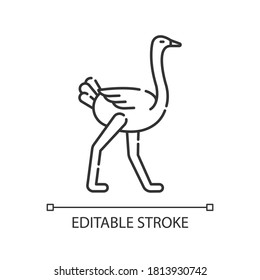 Ostrich pixel perfect linear icon. Ostrich farm, ornithology thin line customizable illustration. Contour symbol. Exotic bird with long legs vector isolated outline drawing. Editable stroke