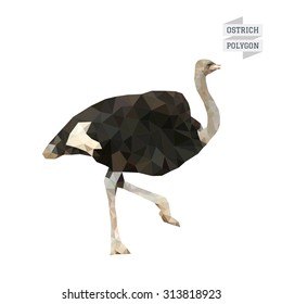 Ostrich polygon vector