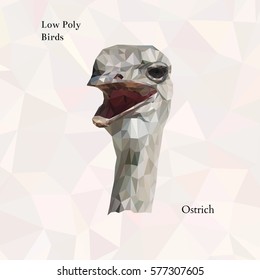Ostrich portrait from low poly. Vector polygonal illustration. Set of triangle birds. Realistic image