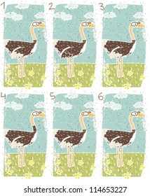 Ostrich Puzzle ... Task: Find two identical images (match the pair)! ... Answer: No. 1 and 6