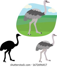 Ostrich Rhea (bird) from South America against a green sky with clouds