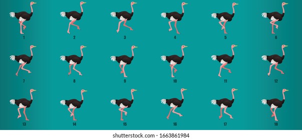 Ostrich Run Cycle  Animation Sequence, Loop Animation Sprite Sheet