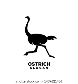 Ostrich run silhouettes logo icon designs vector. Vector illustration isolated on the white background