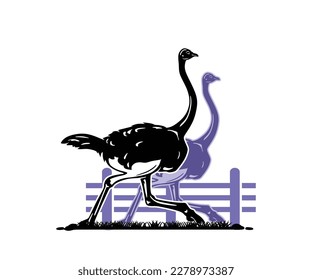 OSTRICH RUNNING LOGO, silhouette of great big chicken vector illustrations