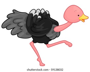 An ostrich running to the right - Vector