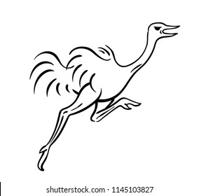Ostrich running vector illustration sketch of bird outline drawing in black isolated on white